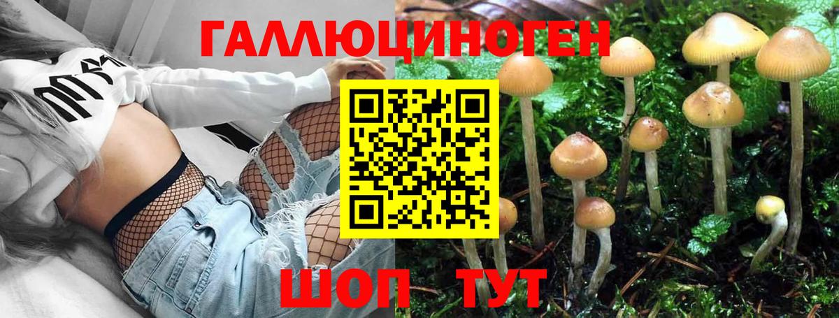 Галлюциногенные грибы прущие грибы  Вход с VPN  Галлюциногенные грибы Cubensis  Коммунар 